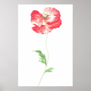 Wilde papaverbloem poster