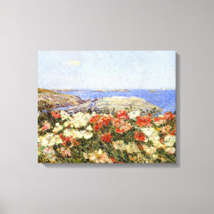 Wilde papavers op de eilanden van Shoals Canvas Afdruk