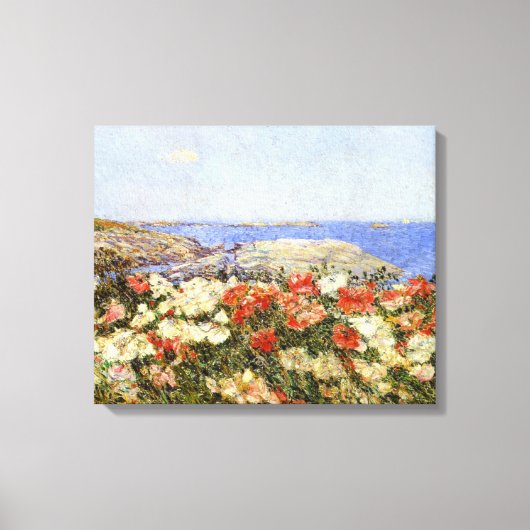 Wilde papavers op de eilanden van Shoals Canvas Afdruk (Voorkant)