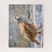 Wilde Patrijs Legpuzzel (Verticaal)