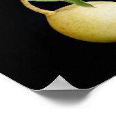 Wilde peren poster (Hoek)