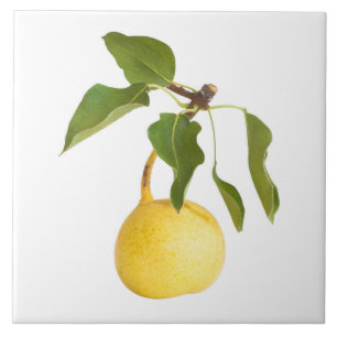 Wilde peren tegeltje