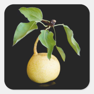 Wilde peren vierkante sticker