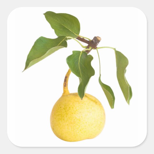 Wilde peren vierkante sticker (Voorkant)