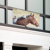 WILDE PINTO MET BIRD BANNER MET GROMMET (Buitenkant Gebouw)