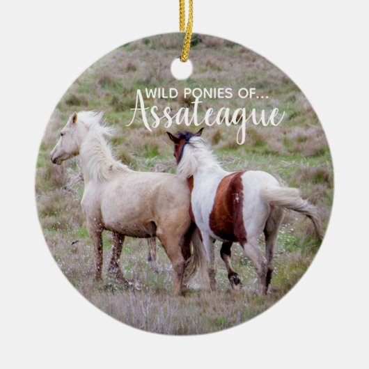 Wilde Ponies of Assateague kerstversier Keramisch Ornament (Voorkant)