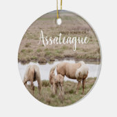 Wilde Ponies of Assateague Ornament (Links)