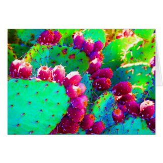 Wilde Prickly Pears