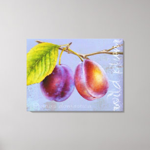 Wilde pruimen - Prunus domestica canvas art muve Afdruk
