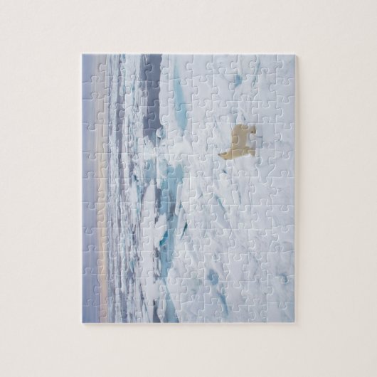 Wilde Puzzle-Polar-Beer Legpuzzel (Verticaal)