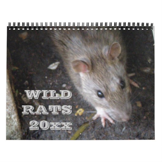 Wilde ratten gepersonaliseerde kalender (Hoes)