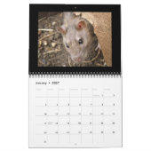 Wilde ratten gepersonaliseerde kalender (Jan 2027)