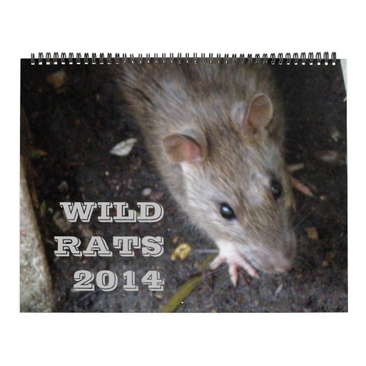 Wilde Ratten Kalender 2014 (Hoes)