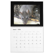 Wilde Ratten Kalender 2014 (Mar 2026)