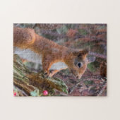 Wilde rode eekhoorn legpuzzel (Horizontaal)
