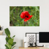 Wilde rode papaverbloem poster (Thuiskantoor)