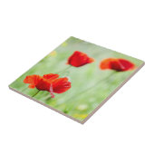 Wilde rode papaverbloem tegeltje (Zijkant)