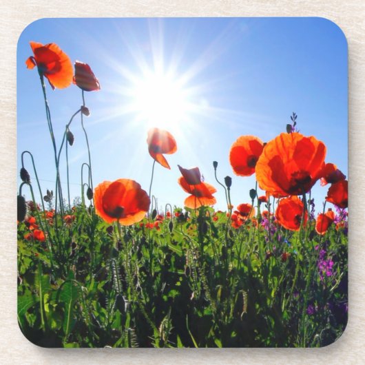 Wilde rode papavers bloemen bier onderzetter (Voorkant)