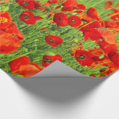 Wilde rode papavers cadeaupapier (Hoek)