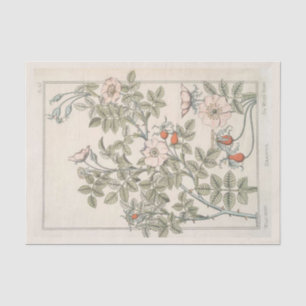 Wilde Roos Botanische Floral Ontvette roze Tissuepapier