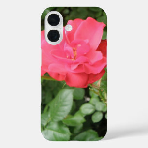 Wilde Roos iPhone 16 Hoesje