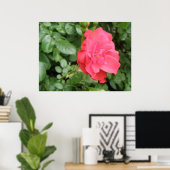 Wilde Roos Poster (Thuiskantoor)