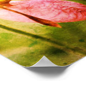 Wilde Roze Dame Slipper Orchidee Paar Distressed A Poster (Hoek)