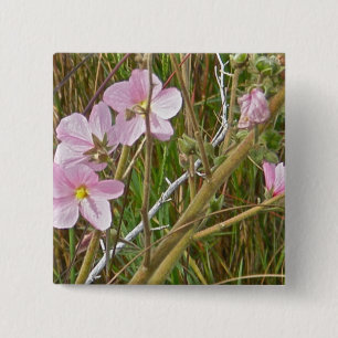 Wilde roze hibiscus in zoutmoerasproducten vierkante button 5,1 cm