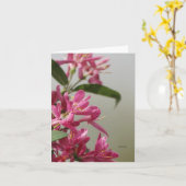 Wilde roze kamperfoelie kaart (Gele Bloem)