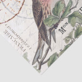 Wilde Rozen Carte Postale Songbird French Script Tissuepapier (Detail)