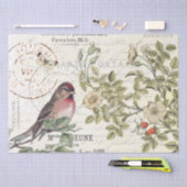 Wilde Rozen Carte Postale Songbird French Script Tissuepapier (Craft)