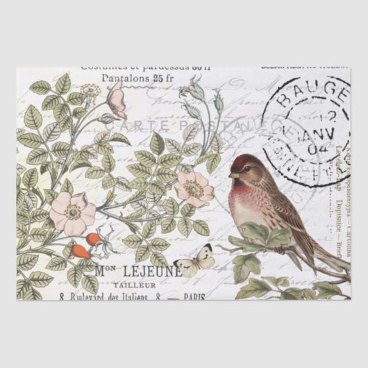 Wilde Rozen Carte Postale Songbird French Script Tissuepapier (Voorkant)