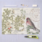 Wilde Rozen Carte Postale Songbird French Script Tissuepapier (Craft)