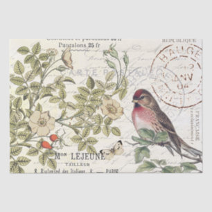 Wilde Rozen Carte Postale Songbird French Script Tissuepapier
