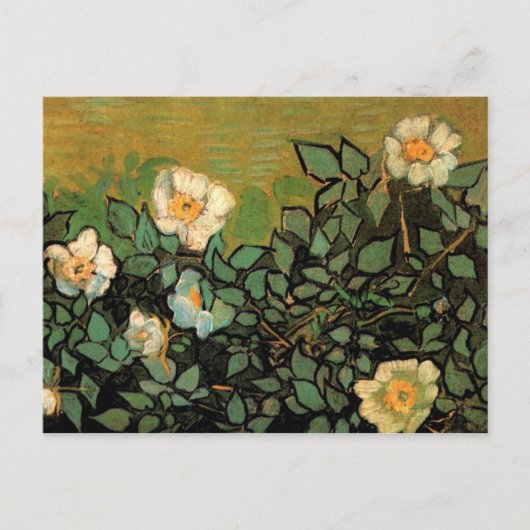 Wilde Rozen (F597) Van Gogh Fine Art Briefkaart (Voorkant)