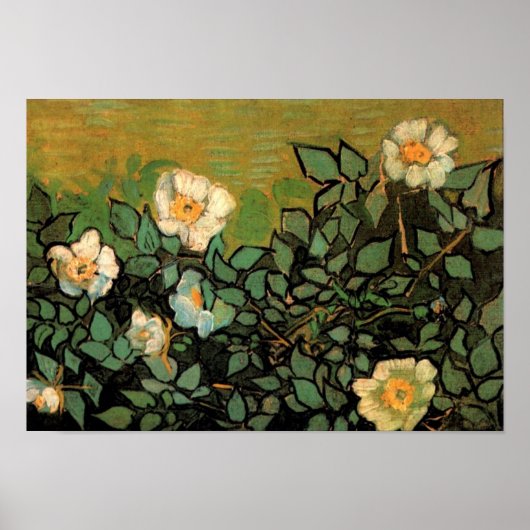 Wilde Rozen (F597) Van Gogh Fine Art Poster (Voorkant)