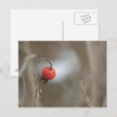 Wilde Rozen Fruit Briefkaart (Voorkant / Achterkant)