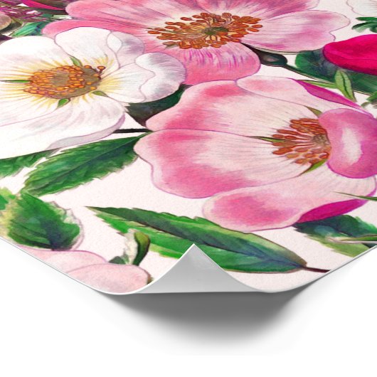 Wilde Rozen Poster (Hoek)