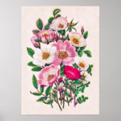 Wilde Rozen Poster (Voorkant)