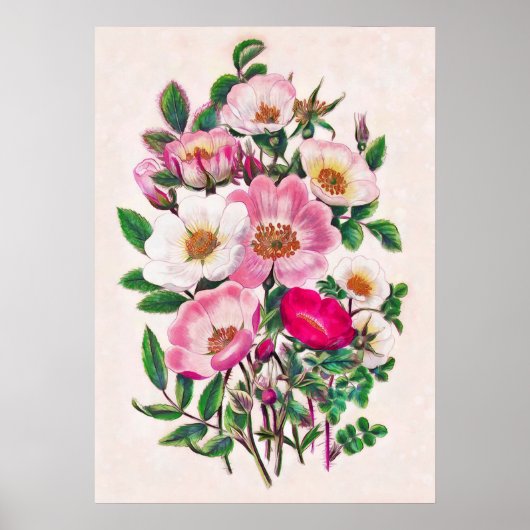 Wilde Rozen Poster (Voorkant)