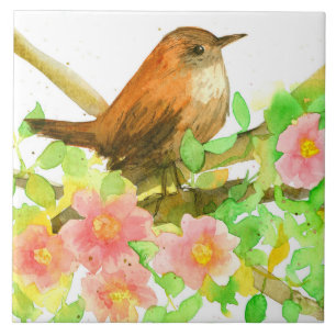 Wilde Rozen Roze Bloemen Botanische Wren Vogel Tegeltje