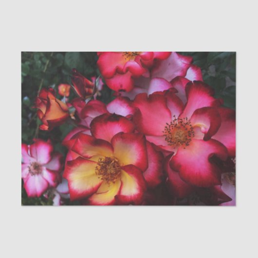 Wilde Rozen Tissuepapier (Voorkant)