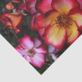 Wilde Rozen Tissuepapier (Detail)