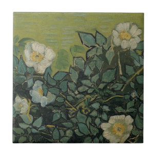 Wilde Rozen van Vincent van Gogh Tegeltje