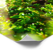 Wilde Ruitershoenders Poster (Hoek)