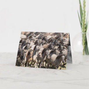 Wilde run - Wenskaart wilde paarden Kaart