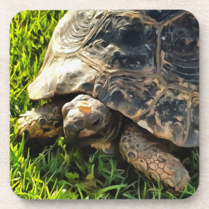 Wilde schildpad in Grass Meadow Wildlife Art Bier Onderzetter
