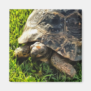 Wilde schildpad in Grass Meadow Wildlife Art Magneet