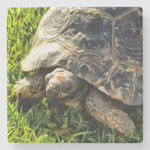 Wilde schildpad in Grass Meadow Wildlife Art Stenen Onderzetter
