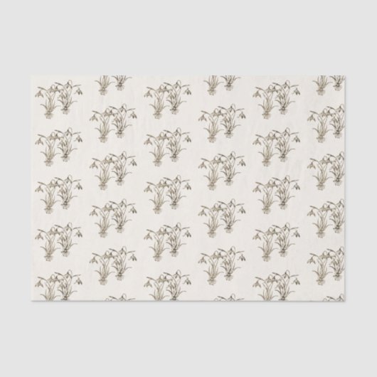 Wilde Snowdrop Illustratie op ivoor Tissuepapier (Voorkant)